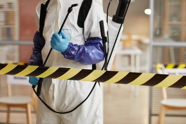 Professional Biohazard Cleanup technician working in Rosburg, WA